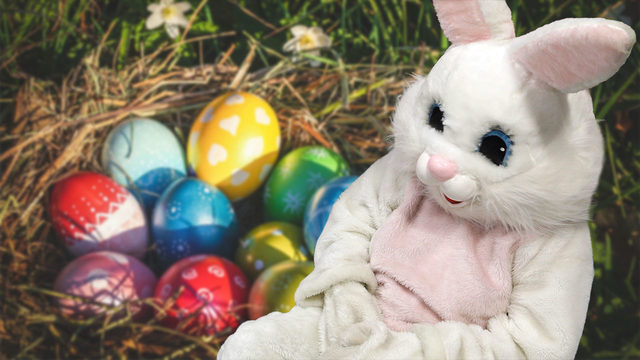 Get Free Photos With Easter Bunny At Bass Pro Shops Cabela S