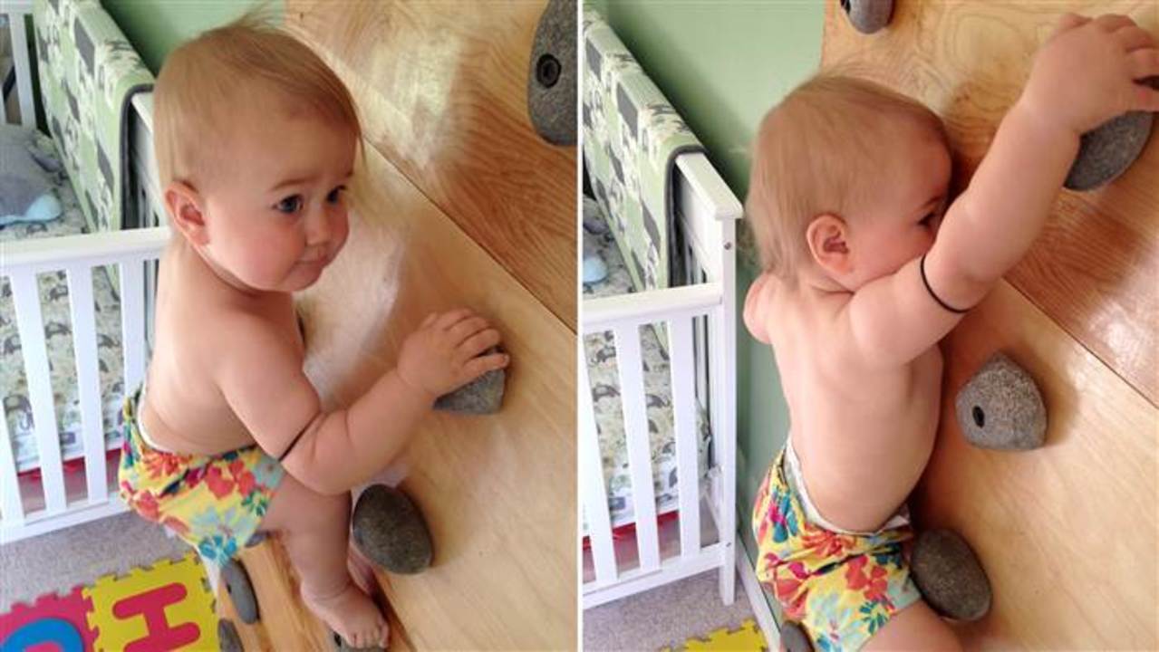 No Monkeying Around Here Toddler Learns To Rock Climb Before Walking