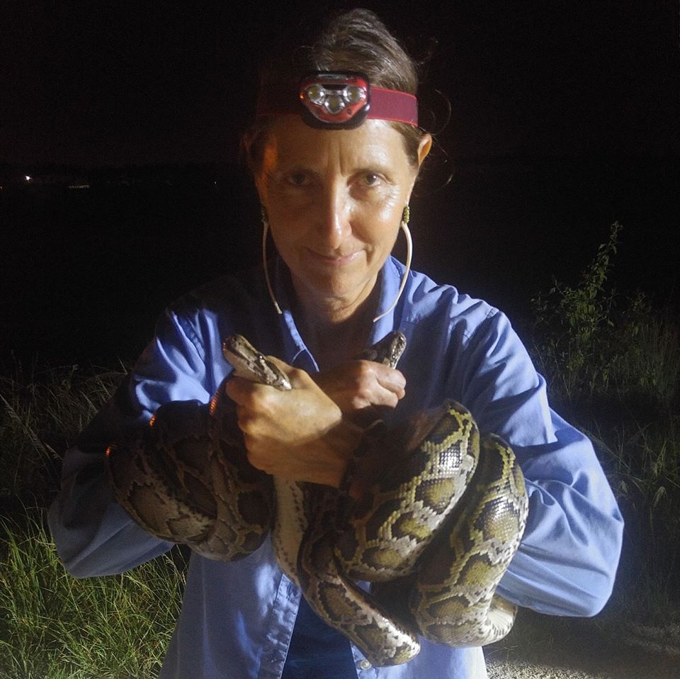 Python hunter brings passion to war against invasive species