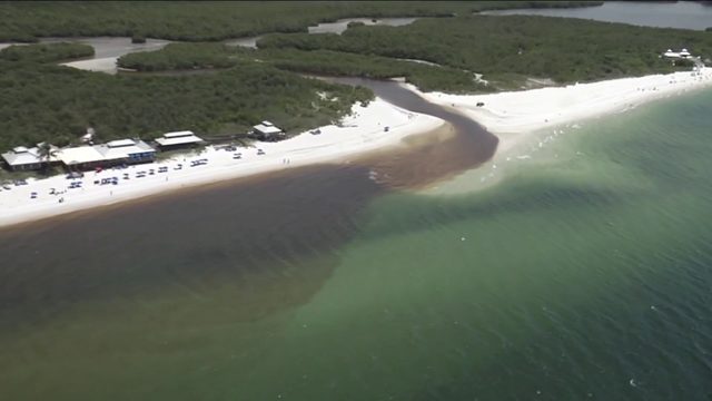 State Revives Red Tide Task Force