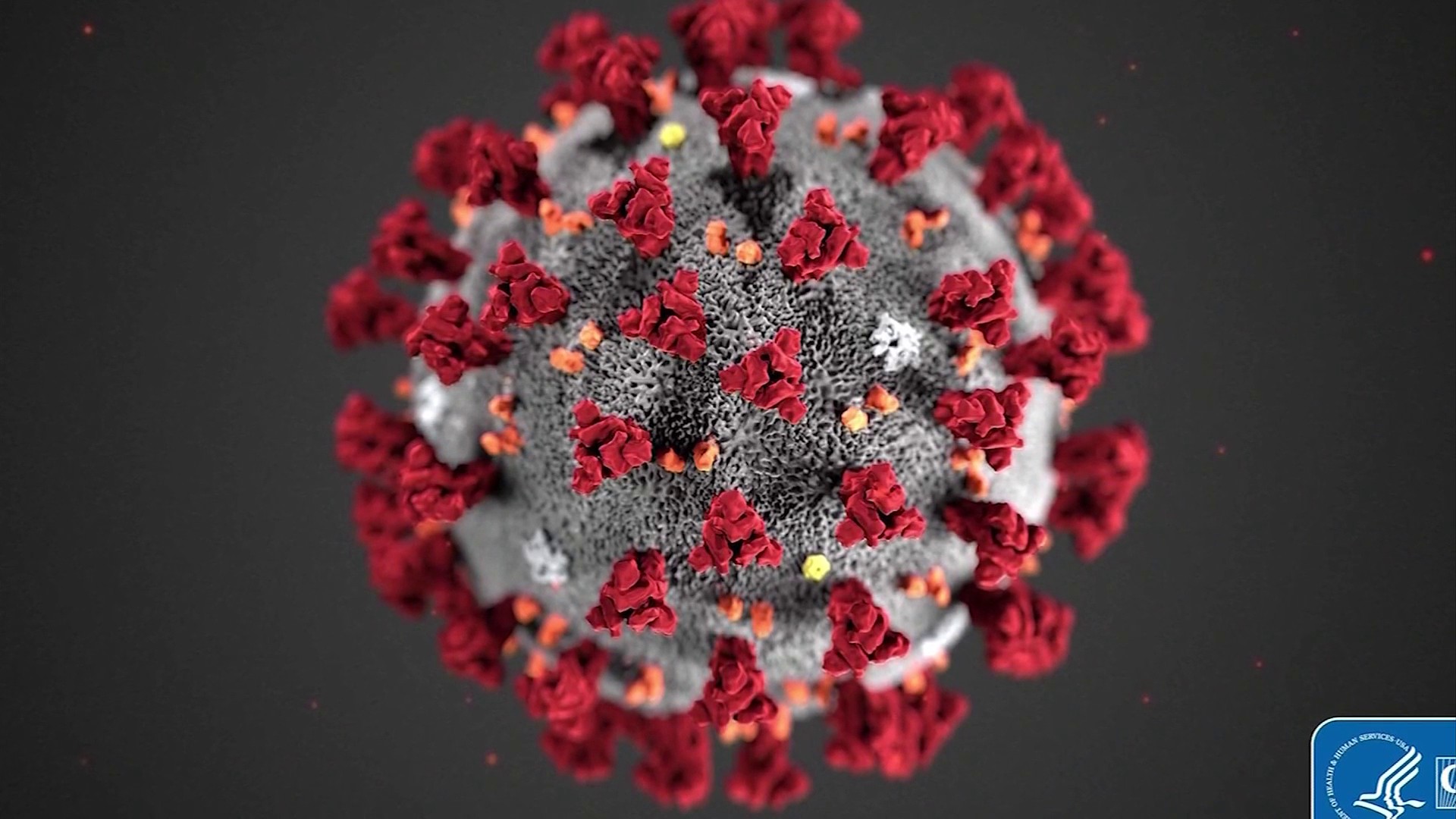 First 2 Cases Of Coronavirus Confirmed In Michigan What We Know Don T Know