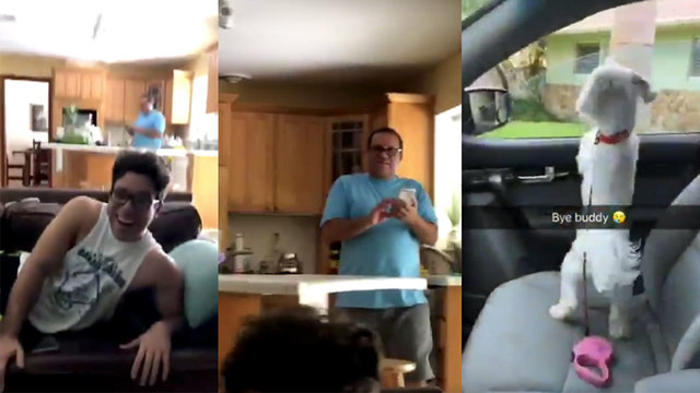 honest kitchen petsmart