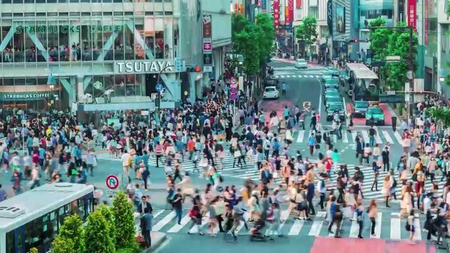 Shibuya Crossing What You Need To Know About Tokyo S Most Chaotic Intersection